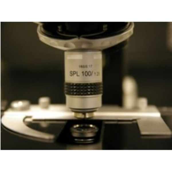 Hund Mikroskop H 600 LL HP 100, Dunkelfeld