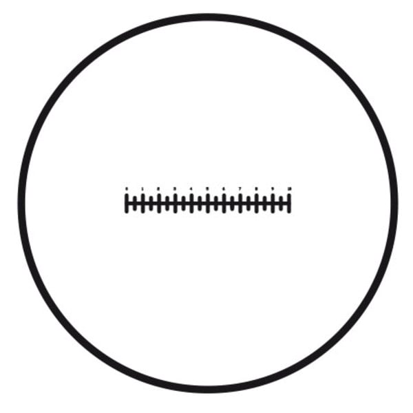 Motic Mikrometerstrichplatte Strichplatte Skala (10mm in 100 Teilen), (Ø25mm)