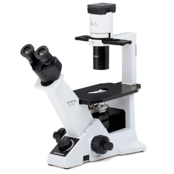 Evident Olympus Inverses Mikroskop CKX31 Hellfeld, Hal, bino, 40x, 100x, 200x, 400x