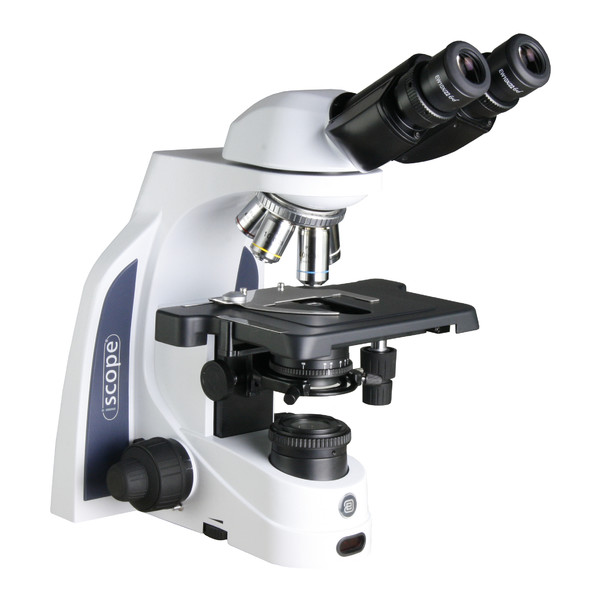 Euromex Mikroskop iScope IS.1152-PLi/DF, bino