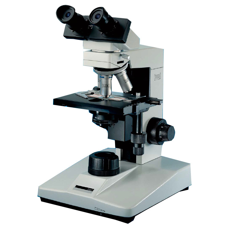 Hund Mikroskop H 600 Wilo-Brau, bino, 100x - 630x