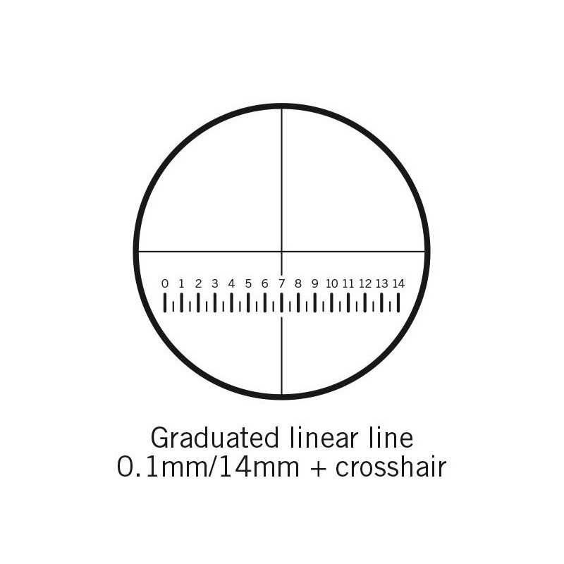 Motic Mikrometerstrichplatte Strichplatte Skala (14mm in 140 Teilen) und Fadenkreuz, (Ø25mm)