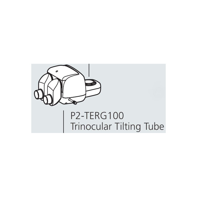 Nikon Stereokopf P2-TERG 100 trino ergo tube (100/0 : 0/100), 0-30°