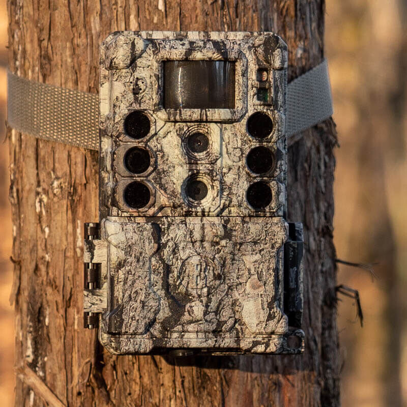 Bushnell Wildkamera 32MP CORE DS4K Tree Bark Camo No Glow, Box 5L