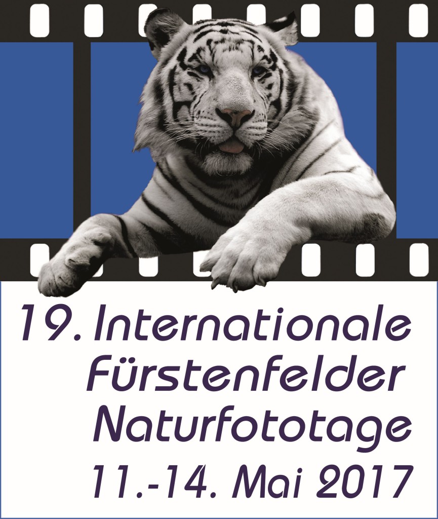 Logo-IFN-groß-2017