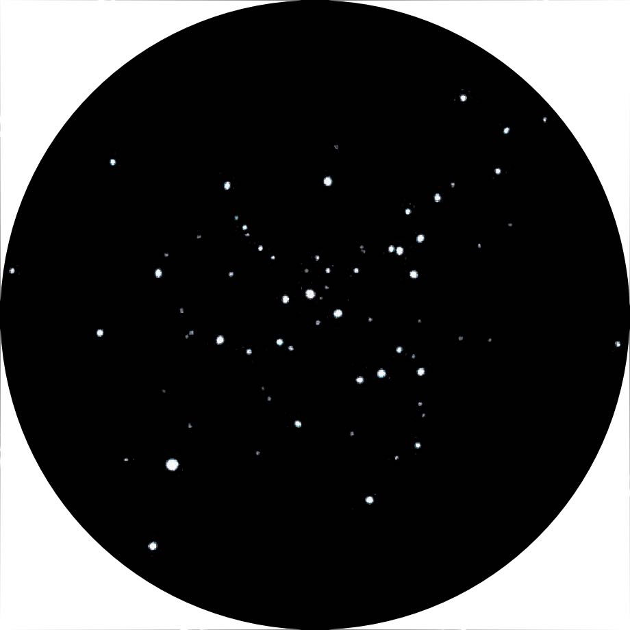 Zeichnung von Messier 41 mit einem
8-Zoll-Newton bei 40-facher Vergrößerung. Michael Vlasov