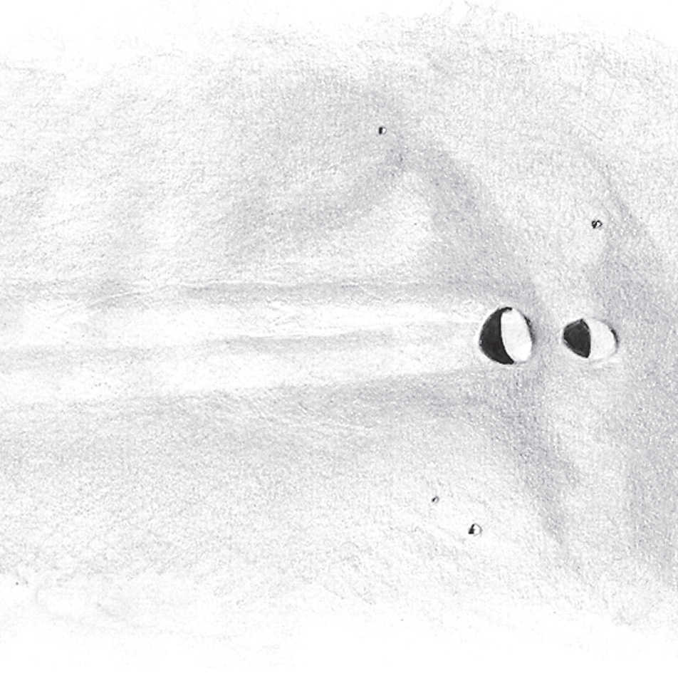 Zeichnungen von Messier und Messier A bei Sonnenuntergang durch ein Teleskop mit 150mm Öffnung, Vergrößerung 180×. L. Spix