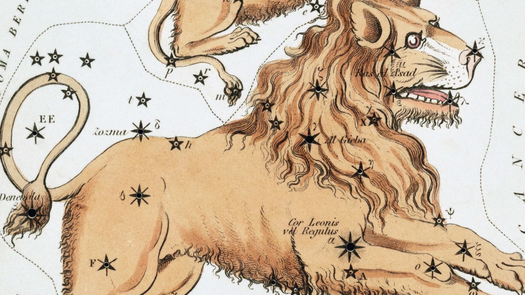 Während man heute in dem Sternbild eine markante Bügeleisenform erkennt, stellten sich dort vor Jahrtausenden die Himmelsbeobachter einen kauernden Löwen vor, dessen Herz der helle Stern Regulus markiert.