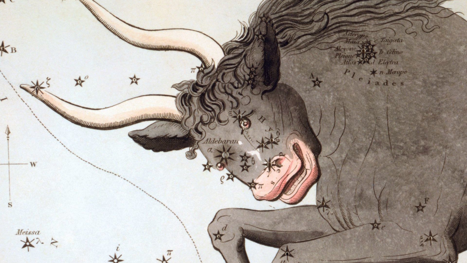 Während alte Sternkarten einen massigen Stier zeigen, sind am Nachthimmel meist nur sein Auge, zwei Hörnerspitzen und zwei Sternhaufen mit bloßem Auge erkennbar.
