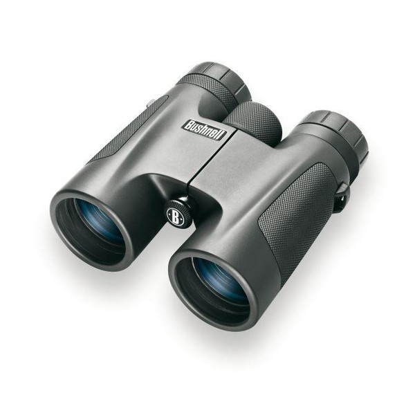 Bushnell Fernglas PowerView 10x32, Dachkant