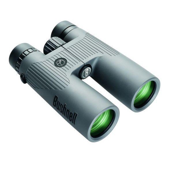 Bushnell Fernglas NatureView 8x42, Dachkant