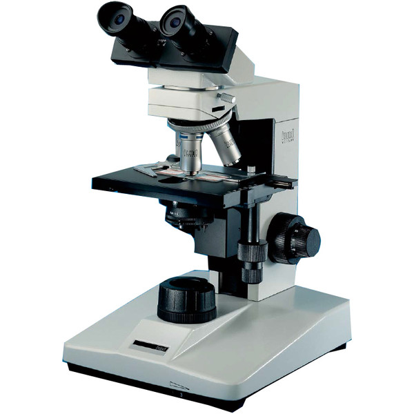Hund Mikroskop H 600 Wilo-Prax Achro, bino, 40x - 1000x
