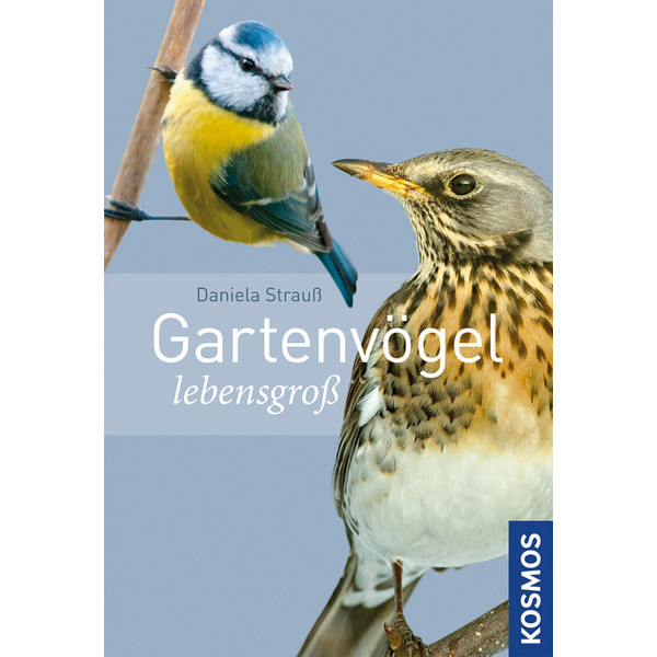Kosmos Verlag Gartenvögel lebensgroß