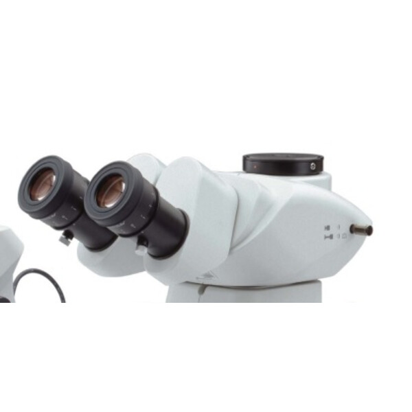 Evident Olympus Zoom-Stereomikroskop Olympus SZX7 Durchlicht, trino, achro, 1x, LED