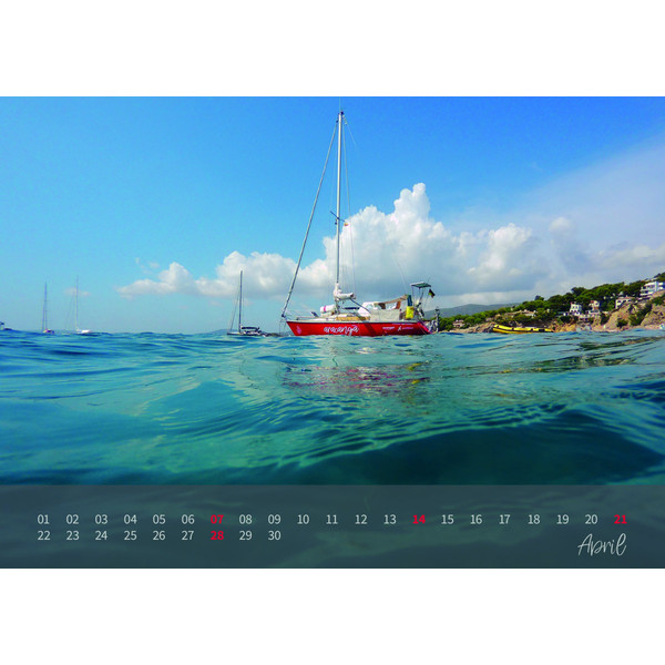 aracanga Kalender 2019