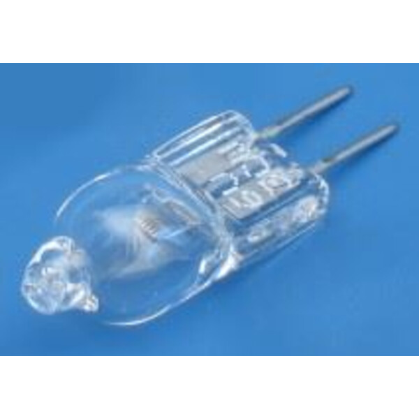 ZEISS Lampe 6V 30W Halogen (Primo)