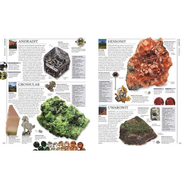 Dorling Kindersley Steine & Mineralien