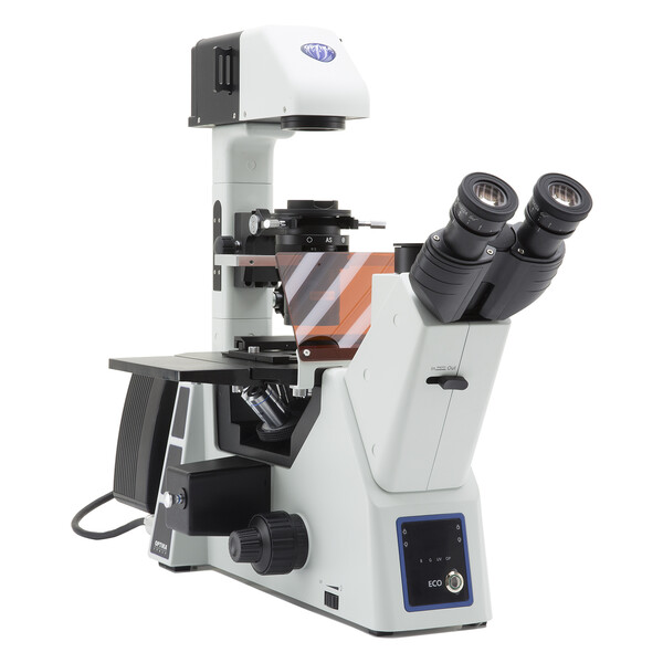 Optika Mikroskop IM-5FLD-UK, trino, invers, FL-LED, w.o. objectives, UK