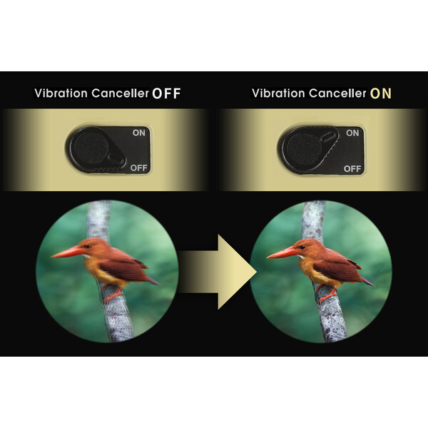 Vixen Bildstabilisiertes Fernglas H12x30 Atera