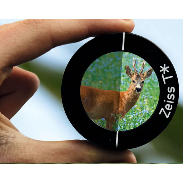 ZEISS Zielfernrohr Conquest V4 3-12 x 56 (60)
