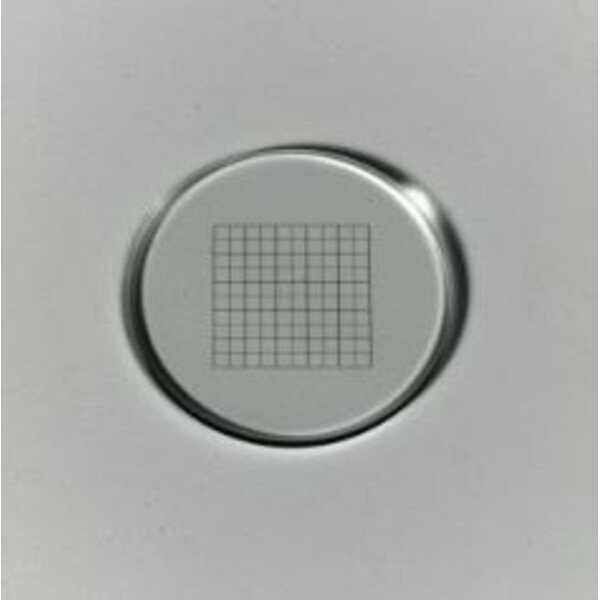 ZEISS Mikrometerstrichplatte Netzmikrometer 12,5x12,5/5;10, d=26 mm