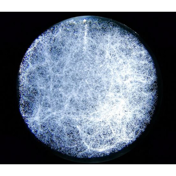 CinkS labs Das Universum in einer Glaskugel (Fast neuwertig)