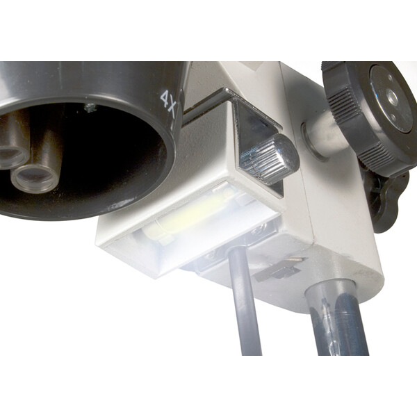 Levenhuk Stereomikroskop 3ST 20-40x Halogen