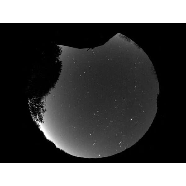 Starlight Xpress Kamera Oculus PRO All Sky 180° Mono