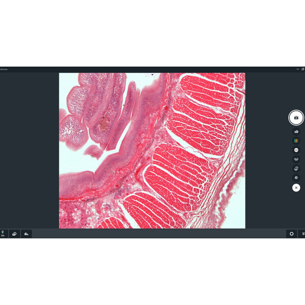ZEISS Software Labscope Modul Multi Channel DLic