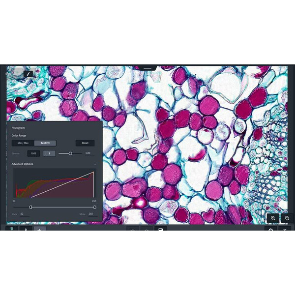 ZEISS Software Labscope Modul Multi Channel DLic