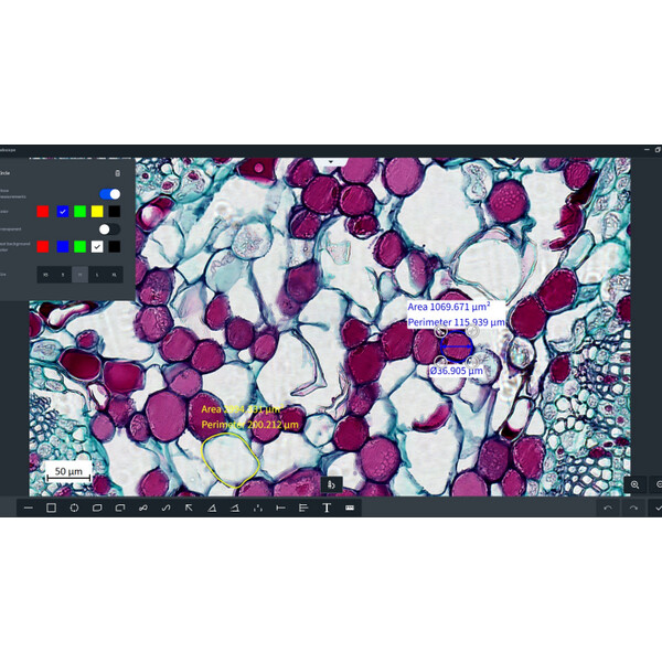 ZEISS Software Labscope Modul Multi Channel DLic