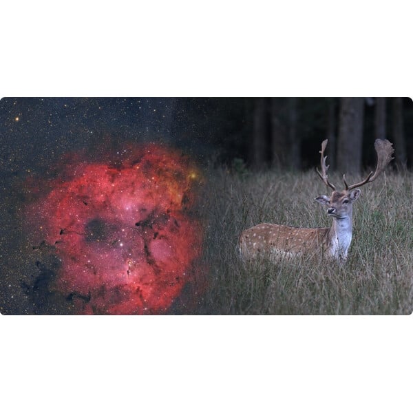 ToupTek Apochromatischer Refraktor HOPE D60 60/280 f/4.66