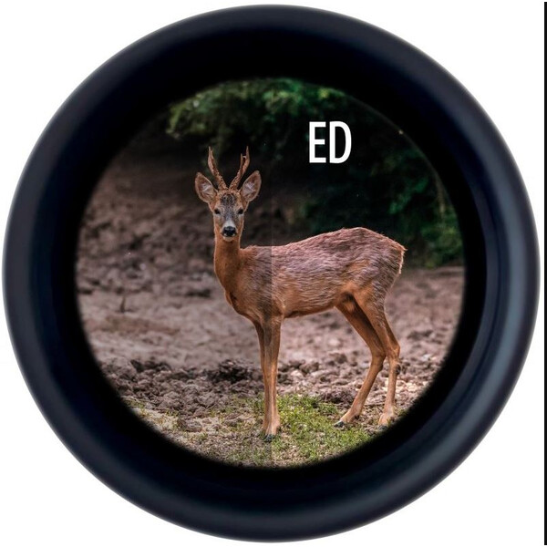 Minox Fernglas X-Tour 8x26