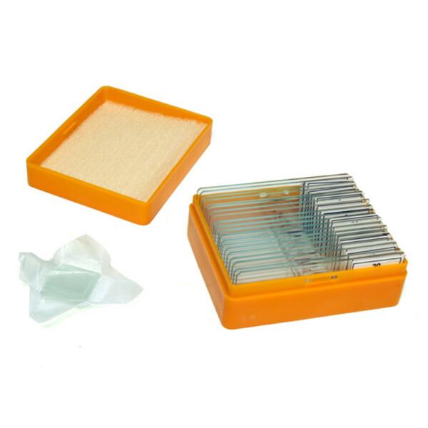 Levenhuk Dauerpräparate N20 NG