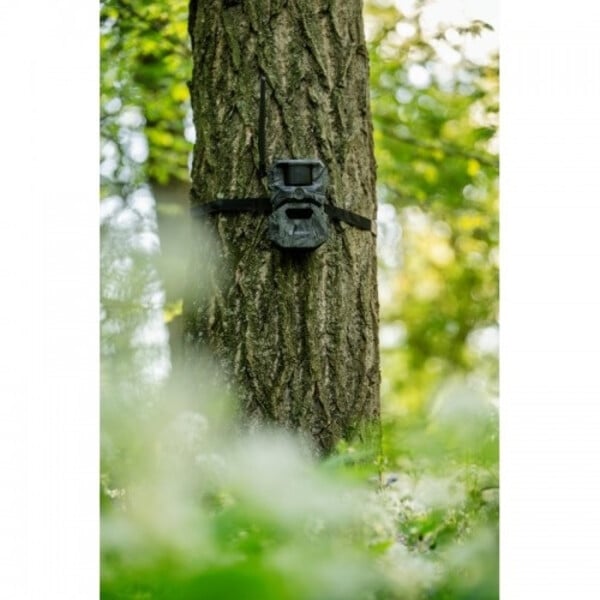 HIKMICRO Wildkamera T16