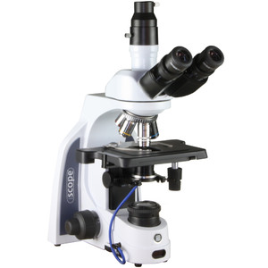 Euromex Mikroskop iScope IS.1153-EPL/DF, trino