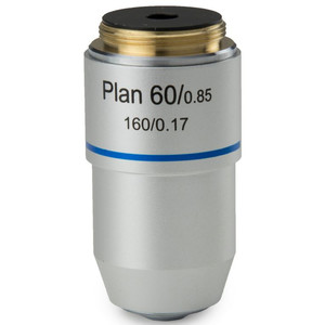 Euromex Objektiv S100x/1.25 plan, Feder, Öl, DIN, BB.8800 (BioBlue.lab)