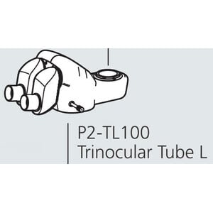 Nikon Stereokopf P2-TL100 Trino Tube 100 (100/0 : 0/100)