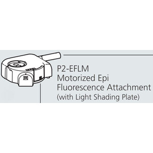 Nikon P2-EFLM Epi-FL-Illuminator, motorized