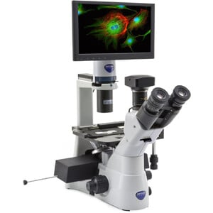 Optika Inverses Mikroskop IM-3LD4D, 6MP, 12" display, trino, IOS U-PLAN F, LED-FLUO, LWD, 400x, 4 empty filter slots