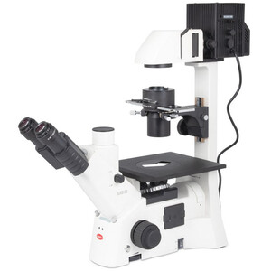 Motic Inverses Mikroskop AE31E trino 100W, inv, CCIS Plan 4x, LWD Ph10x/20x40x