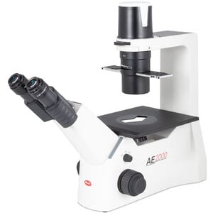 Motic Inverses Mikroskop AE31E bino, infinity, 40x-400x, phase, Hal, 30W