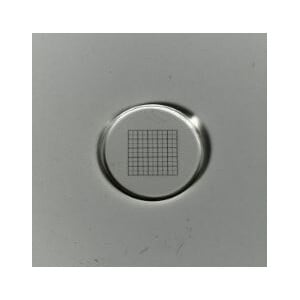 ZEISS Mikrometerstrichplatte Netzmikrometer 10x10/5:10, d=21 mm