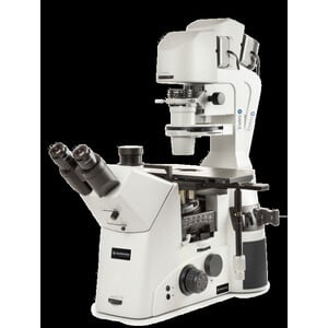 Euromex Inverses Mikroskop DI.1053-PLPHFi, trino, 100-400x, IOS, LED