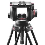 Videoneiger