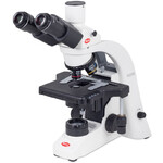 Motic Mikroskop BA210E trino, infinity, EC- plan, achro, 40x-1000x, Hal,