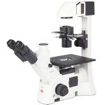 Motic Mikroskop AE31E trino, infinity, 40x-400x, phase, Hal, 30W