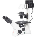 Motic Mikroskop AE31E bino, infinity, 40x-400x, phase, Hal, 100W