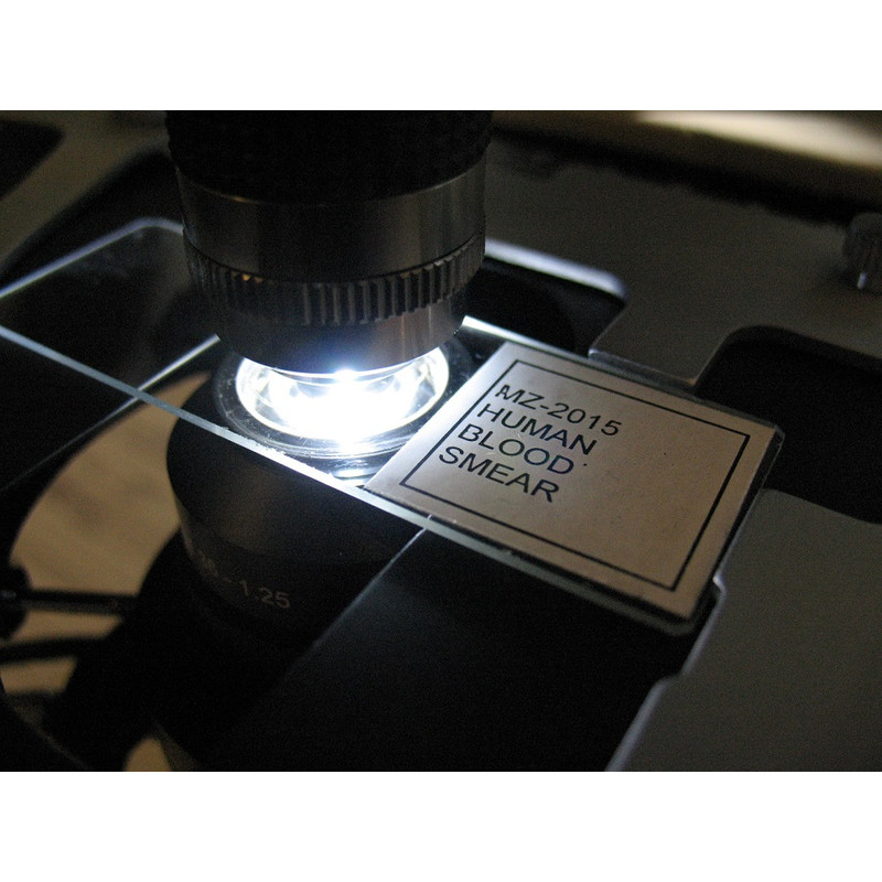 Optika Mikroskop B-383DK, trino, HF, DF, DIN, N-PLAN, 40x-1000x, LED