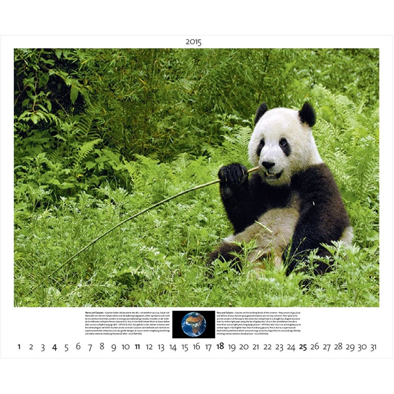 Palazzi Verlag Kalender Planet Erde 2015